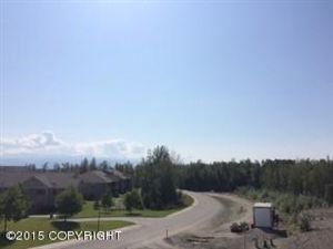 1130 N Elkhorn, Wasilla, AK 99654