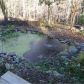 1092 Ridgeway Road, Dahlonega, GA 30533 ID:13676334