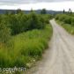 66788 Suzis Trail Lane, Homer, AK 99603 ID:12942950