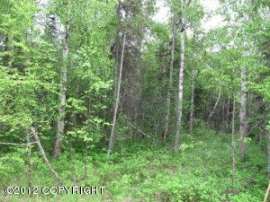 2500 W Horseshoe Drive, Wasilla, AK 99654