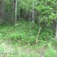 2500 W Horseshoe Drive, Wasilla, AK 99654 ID:12006233