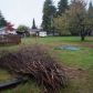 319 N 6th Street, Montesano, WA 98563 ID:13573994