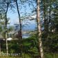 23625 Fallow Circle, Chugiak, AK 99567 ID:13039702