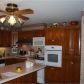 287 Buck Island, Demorest, GA 30535 ID:13591418