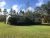 709 State Rd 26 Melrose, FL 32666