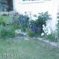 21408 Baron Drive, Chugiak, AK 99567 ID:13019783