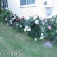 21408 Baron Drive, Chugiak, AK 99567 ID:13019784