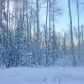 3538 N Nichols Drive, Big Lake, AK 99652 ID:13717174