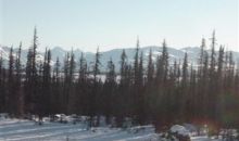 L8 B3 Caribou Homestead Loop Homer, AK 99603