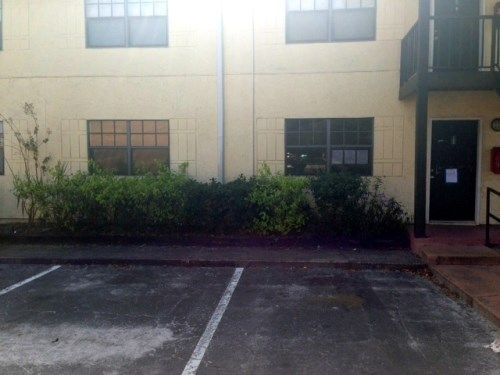 303 Oak Rose Ln Apt 102, Tampa, FL 33612