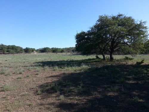 0 Eileens Ln, Harper, TX 78631