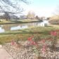 19710 Lake Shore Dr Ct, Chicago Heights, IL 60411 ID:13698685