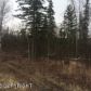 4176 S Gon Fishin Drive, Wasilla, AK 99654 ID:12744986