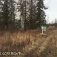 4176 S Gon Fishin Drive, Wasilla, AK 99654 ID:12744987