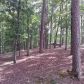 508 Frank Bruce Road, Dawsonville, GA 30534 ID:12995956