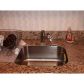 9848 NOB HILL CT # 9848, Fort Lauderdale, FL 33351 ID:12275025