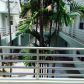 326 WILSON ST # 205, Hollywood, FL 33019 ID:13000704