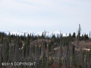 L3 B1 Cache Road, Homer, AK 99603