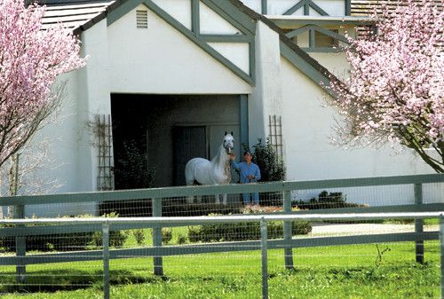 2065 Refugio, Santa Ynez, CA 93460