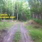 Pcl 1 Blue Goose Road, Wasilla, AK 99654 ID:13732369