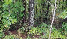 #4 SMOKY VIEW RD Gatlinburg, TN 37738