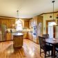 9240 Mackinac Drive, Alpharetta, GA 30022 ID:13443331