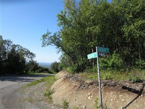 Lot 11 Kasilof Boulevard, Anchorage, AK 99507