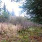 41590 Redoubt Circle, Homer, AK 99603 ID:13511061