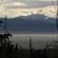 L2 Wiltrout Street, Homer, AK 99603 ID:13665712