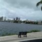 3225 NE 184 ST # 10103, North Miami Beach, FL 33160 ID:13462381