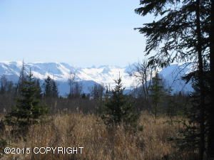 0000 LITTLE FIREWEED Lane, Homer, AK 99603