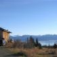 55205 Elata Avenue, Homer, AK 99603 ID:13665579