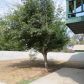 264 S Albert Avenue, Exeter, CA 93221 ID:13641442