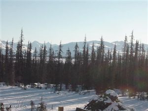 L8 B3 Caribou Homestead Loop, Homer, AK 99603