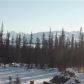 L8 B3 Caribou Homestead Loop, Homer, AK 99603 ID:13716123