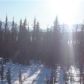 L8 B3 Caribou Homestead Loop, Homer, AK 99603 ID:13716125