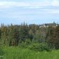 L1 Heather Street, Homer, AK 99603 ID:13509814