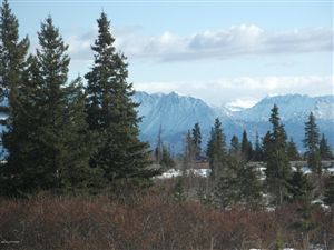 36303 Hutcheon Street, Homer, AK 99603