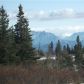 36303 Hutcheon Street, Homer, AK 99603 ID:13665720