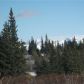 36303 Hutcheon Street, Homer, AK 99603 ID:13665721