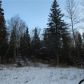 3800 Rabbit Creek Road, Anchorage, AK 99516 ID:13734748