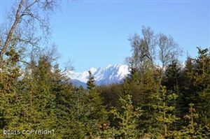 L1 Carefree Circle, Homer, AK 99603