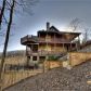 829 Lake View Drive, Blue Ridge, GA 30513 ID:13755371