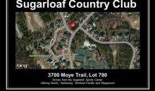 3700 Moye Trail Duluth, GA 30097