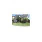 7803 NW 111th Ct, Miami, FL 33178 ID:13784784