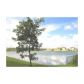 1008 NE 40th Rd, Homestead, FL 33033 ID:13776483