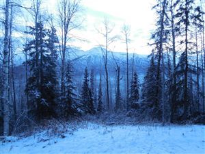 L8 Lake View Drive, Eagle River, AK 99577