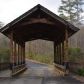 12 Tree Line Lane, Ellijay, GA 30540 ID:13786959