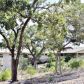 250 Japonica Road, Hunt, TX 78024 ID:13836364