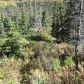 L6B1 West River Drive, Eagle River, AK 99577 ID:13850939